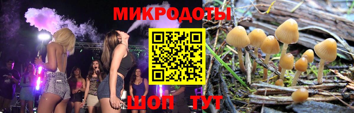 Псилоцибиновые грибы MAGIC MUSHROOMS  Вход с VPN  Сибай 