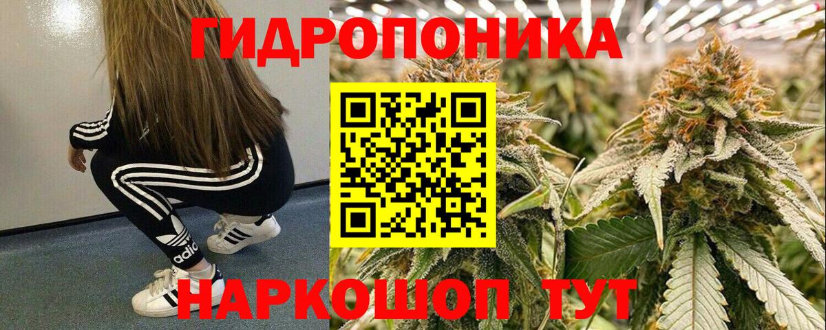 Каннабис семена  Марихуана ГИДРОПОН  Сибай  Шишки марихуана THC 21%  Вход с VPN 